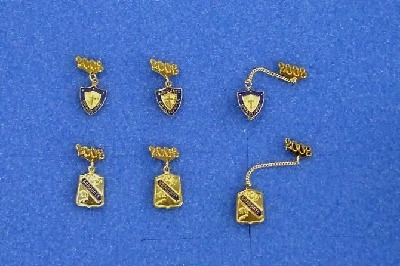 GRADUATE PINS WITH YEAR GUARDS