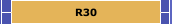 R30