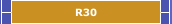 R30